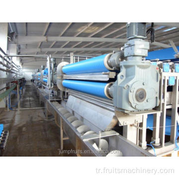 Endüstriyel Meyve Hamuru Suyu Extractor Makinesi